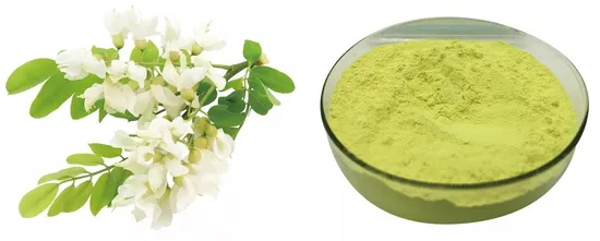  Santé Rutine 95%UV NF11 ;  Extrait de Sophora Japonica Rutine